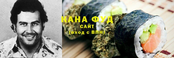 гидра Магас