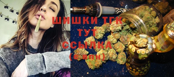 гидра Магас