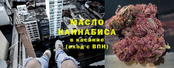 гидра Магас